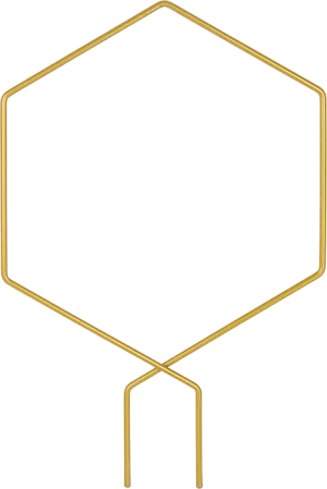 Plantensteun (goud)