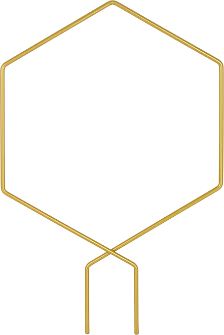 Plantensteun (goud)